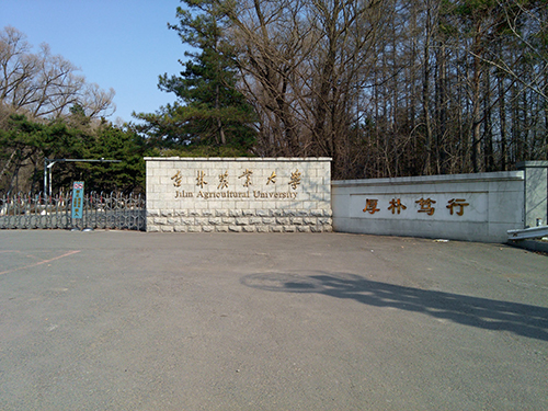 &#27867;&#20122;&#30005;&#31454;&#40;&#20013;&#22269;&#41;&#23448;&#26041;&#32593;&#31449;
